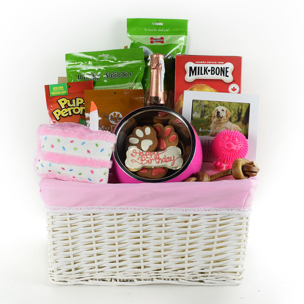 muttsmousers's tweet photo. Are you looking for ideas for dog birthday gift baskets? If your pet likes treats, toys, and chews, there are plenty of terrific doggie gift sets at Muttsmousers.🎁

https://t.co/YwkBUDV0w8

#muttsmousers #giftideas #birthdaygifts #petlovers  #accessories #thursday #USA #Canada https://t.co/silWPuMult