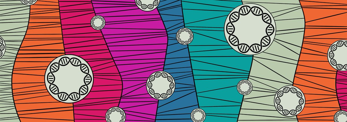 CD_AACR's tweet photo. From the February issue: Live-cell imaging shows uneven segregation of #extrachromosomal DNA elements and transcriptionally active extrachromosomal DNA hubs in cancer #ecDNA by @_eunhee_yi_ @albertwcheng @roelverhaak et al @jacksonlab
https://t.co/ORbjANh3sw https://t.co/mcyJg97op5