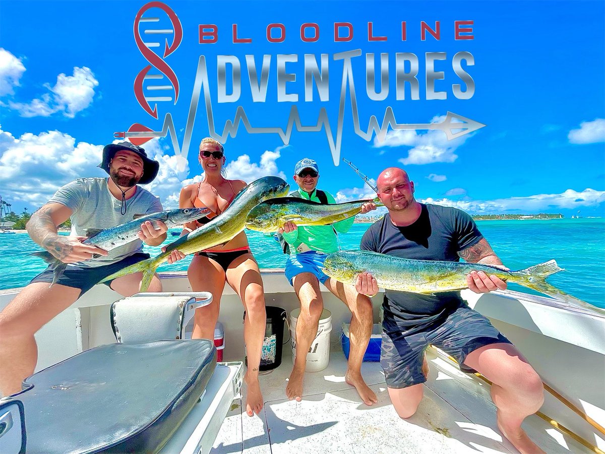 bloodlineadv's tweet photo. Check out our newest addition to the @YouTube library!  Watch as @bigshowcreation brings fun to a whole new level!  Some great new records were set, and some new friends were made. I call that a total win!

#bloodlineadventures #deepseafishing #mahimahi #dorado #tightlines https://t.co/YHYraFXpSv