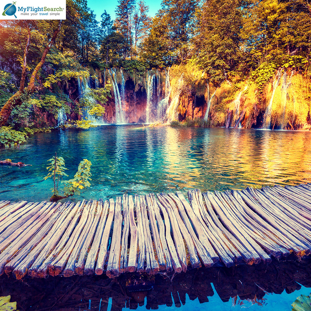 myflightsearch's tweet image. Plitvice Lakes National Park, Croatia looks something out of this world. Visit myflightsearch.com

#natural #naturephotography #naturelovers #naturegeography #europetravel #pictureoftheday #myflightsearch
