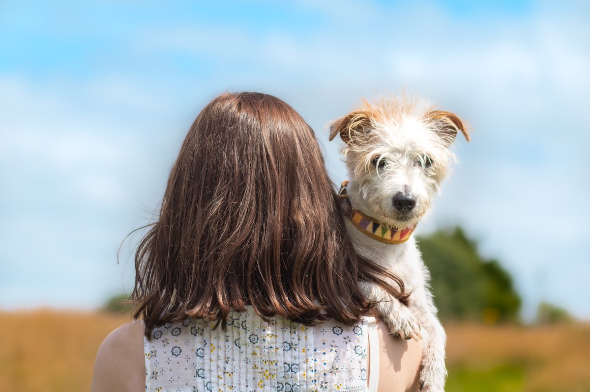 Better together 🥰
Throwback to summer days ☀️ 
#twitterdogcommunity #jackrussell #dogsoftwitter #canonphotography #dogphotography