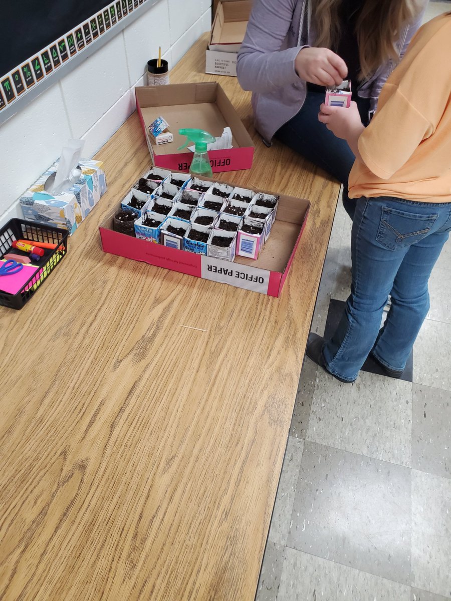 milliken1997's tweet photo. Twitterless Mrs.Binegar &amp; Miss Bunting and 4th grade Science students working on planting flowers and creating circuit.@speelman_katie @PrincipalCMill
@NobleLocal_SD
#flowers #circuitoverload
#lightitup https://t.co/Sk0idEFbWi