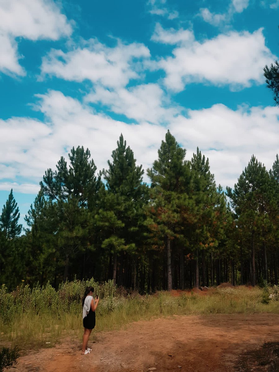 InstagramTakeover with @chasinglightwithal. Last day of the takeover. Swipe to view today's pics 👉
.
Thank you for joining this week!  I loved sharing some of my favourite things to do in Knysna with you. Have a great weekend. 
.
From Ali,
.
#InstagramTakeover
#VisitKnysna