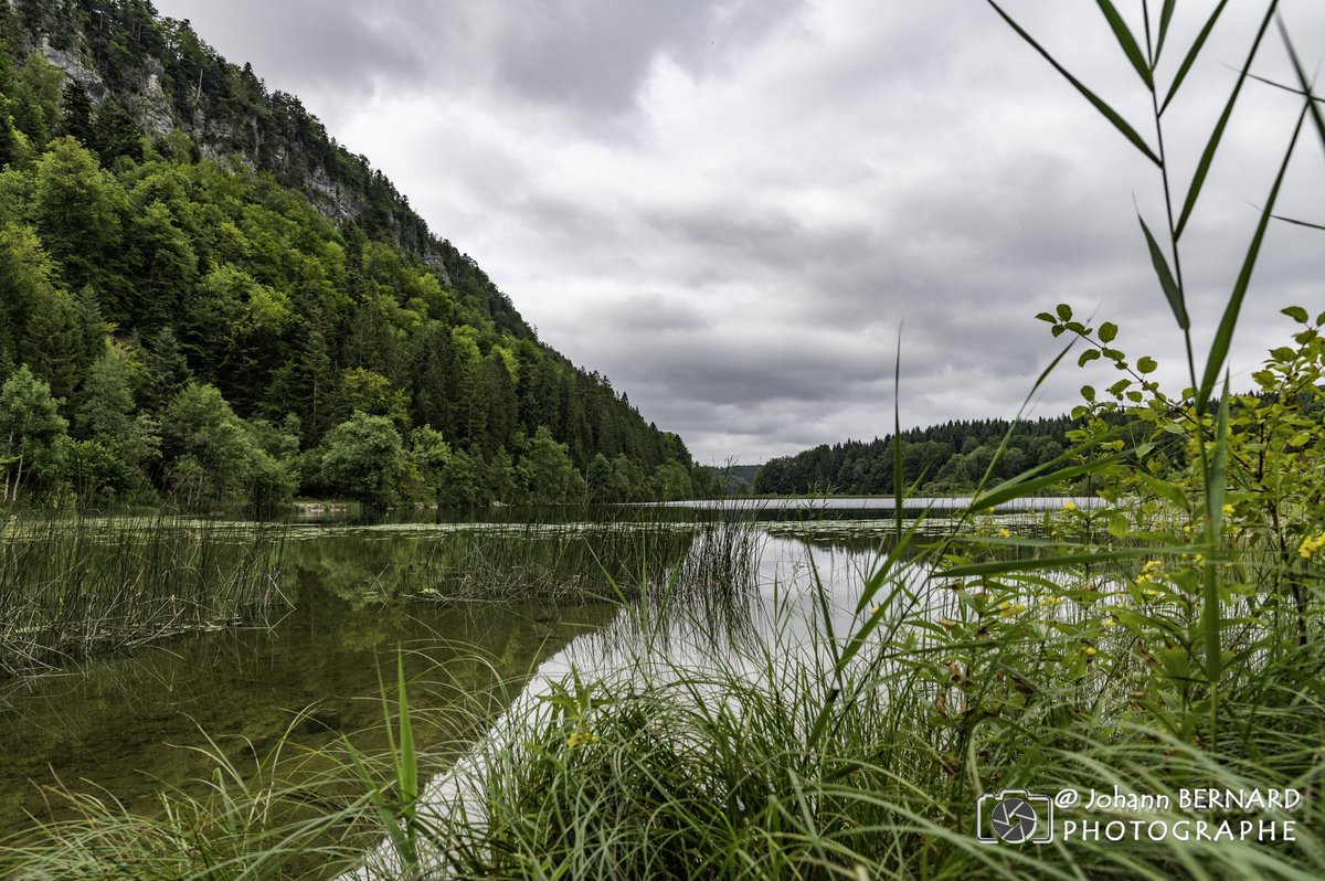 bernard29440's tweet photo. #balade #randonnée un tour du lac… voilà une belle balade accessible, et avec des #paysages #sympas https://t.co/x6rTp0TSBK