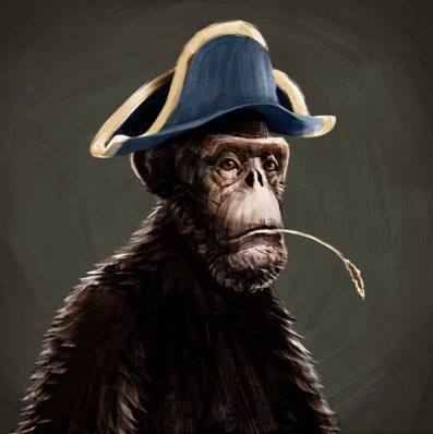 ProteusVI tweet media