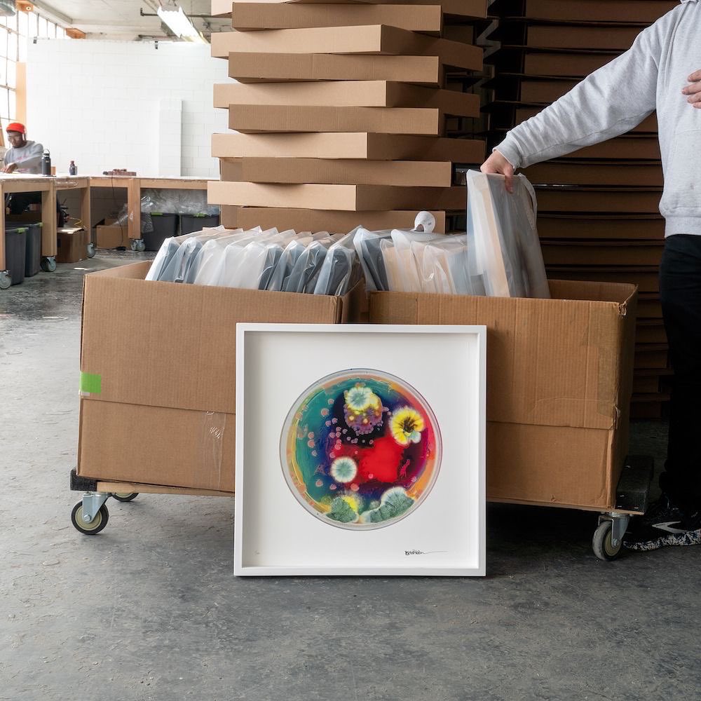 andyblank.com/collections/ne…