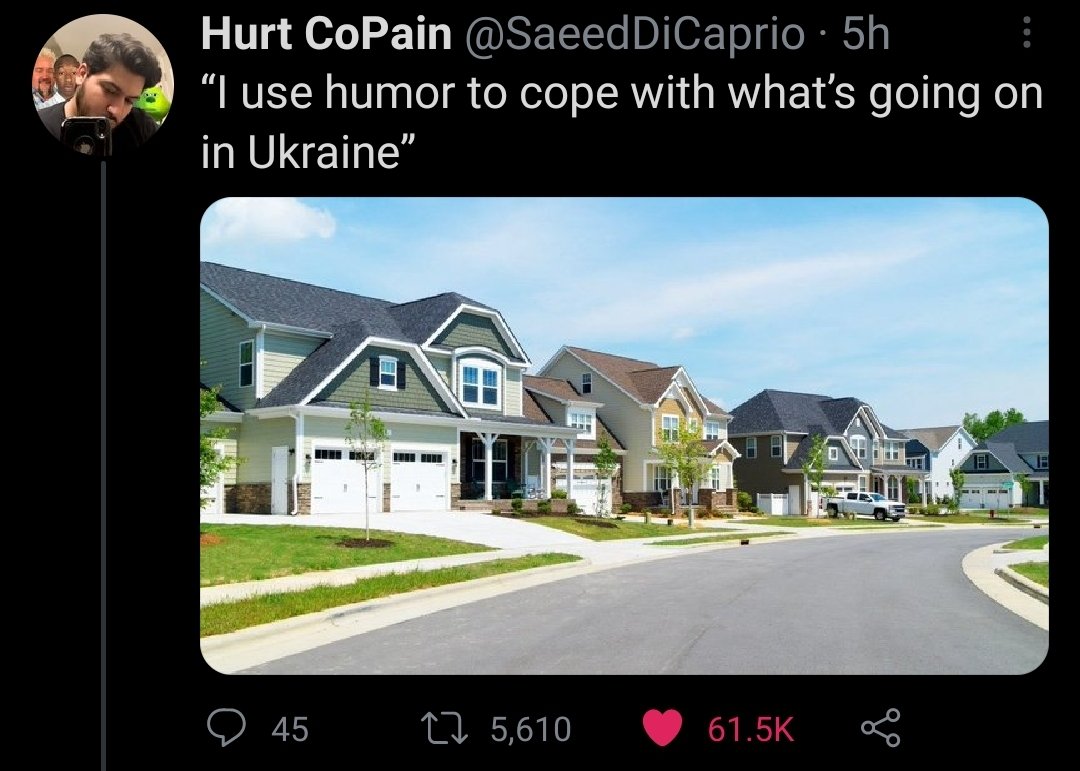 to sum it up: edgelords with their $1000 dollar gaming desktops with anime mouse boobrests speedrunning topical memes for that precious internet engagement.

what a floating rock we live on