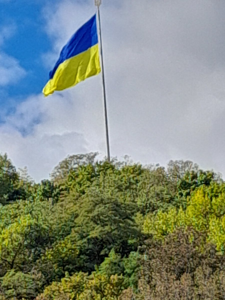 taxipyclo tweet media