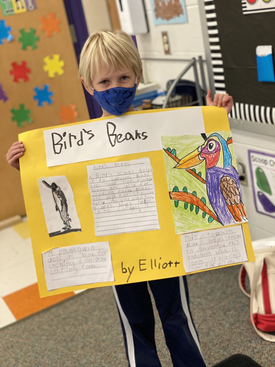 1stGradeColeman's tweet photo. All About Birds! Final products! So proud of these first graders! https://t.co/6yNKKr8Bnx