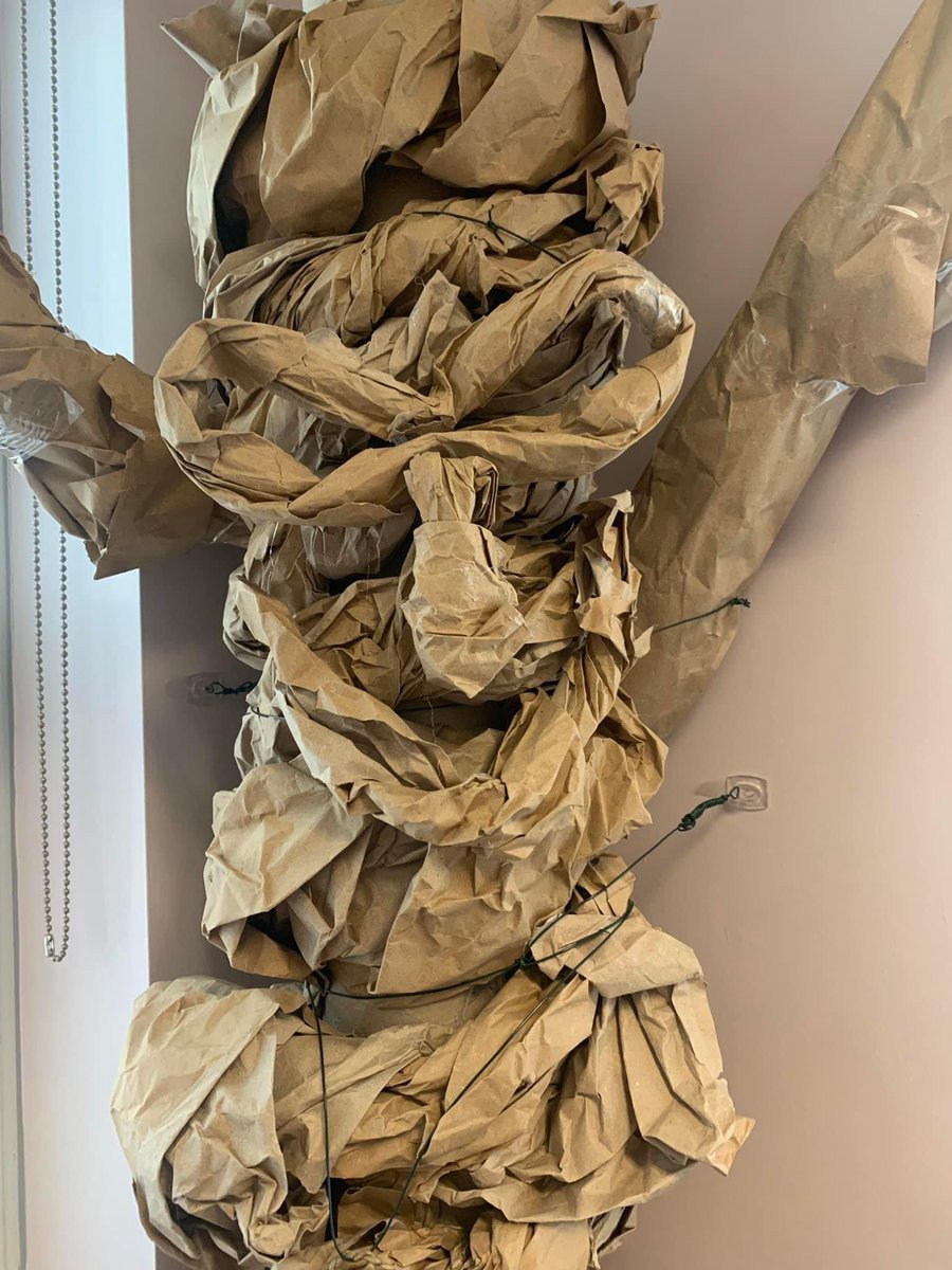 Mrs_Hollins_MFL's tweet photo. Absolutely amazing reading tree created for our Athena pupils by Mrs Robinson (with a little help from Mr Robinson) 📚 #lovereading #dearnereads #readingtree @DearneALC #teamdearne https://t.co/3U19vVULVd
