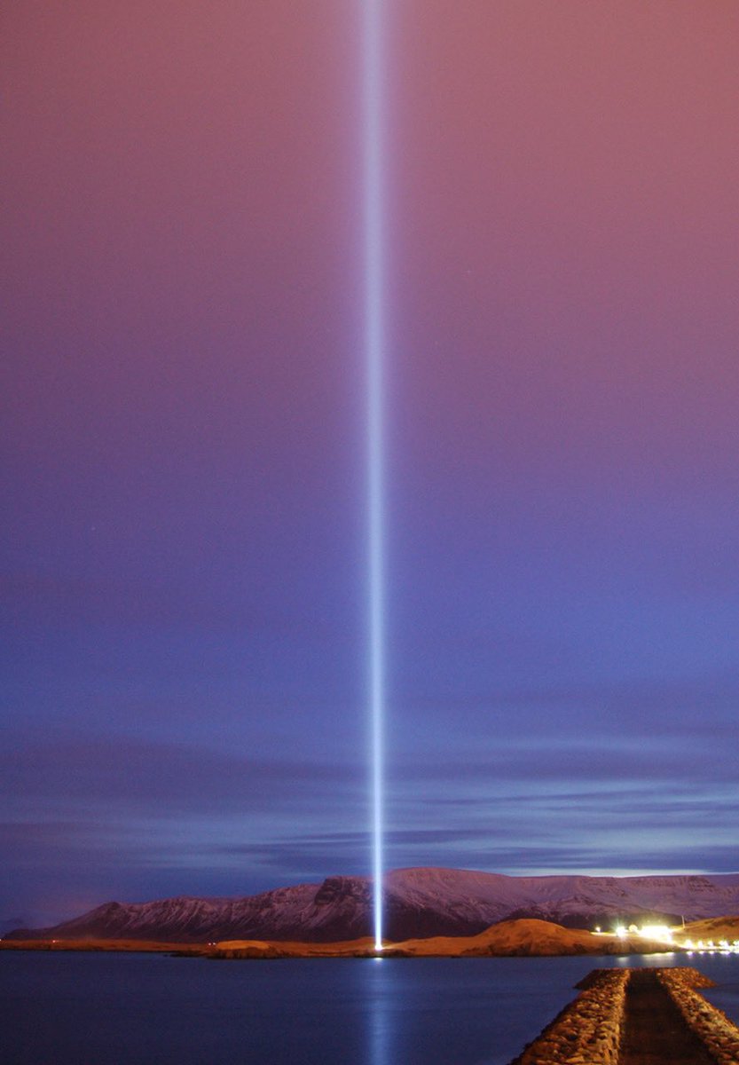 yokoono tweet picture