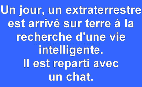 VendettaXoX's tweet photo. #VladimirZemmour https://t.co/gEHTrK0CDt