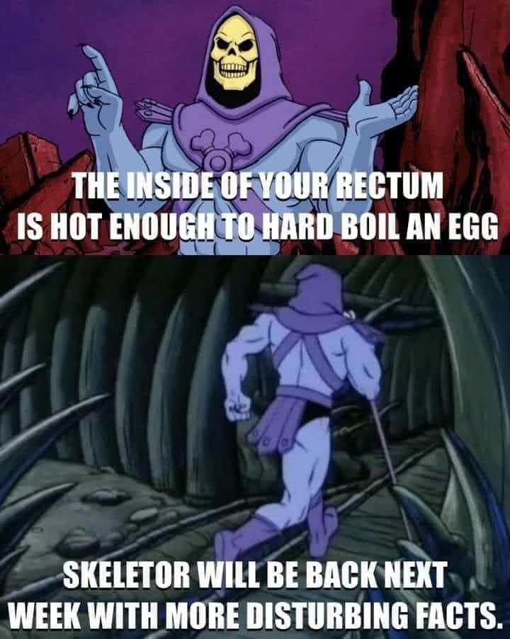 Скелетор факты. Скелетор вернется позже с еще одним неприятным фактом. Скелетор мем. Мем скелетон вернется позже. Скелетор мем факты.