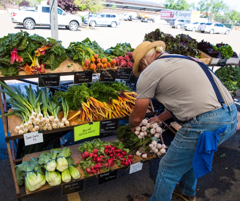 devourphoenix's tweet image. 🎥 Dinner and a movie? Yes, please! As a thank you for purchasing a Devour meal and supporting local restaurants, we&apos;re gifting you a free @GoodFoodAZ  film! Keep an eye on your email for the code to use. 🎉
#DevourPhoenix #GoodFoodAZ