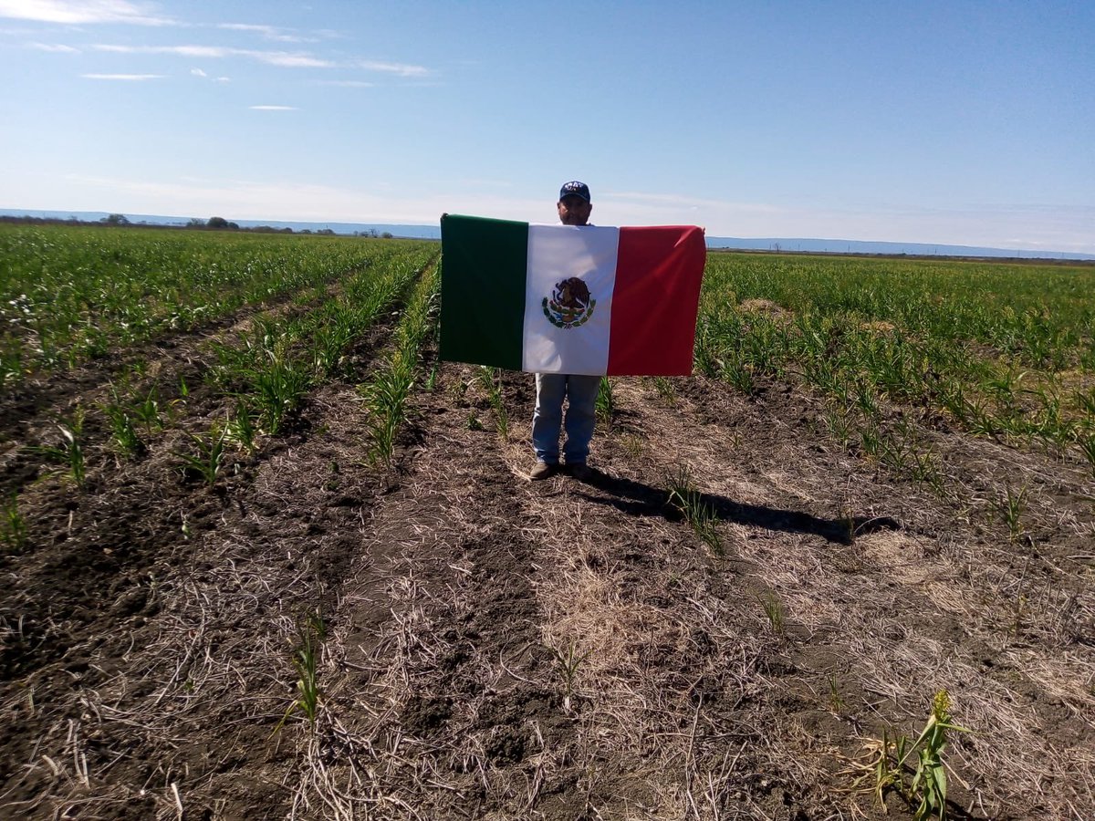 agriculturaSLP's tweet photo. Gracias a las y los #HéroesDeLaAlimentación, podemos tener lo mejor del #campo en nuestras mesas #ElCampoOrgulloDeMéxico
#BanderaDeMéxico
#AmorAMéxico 
@SRE_mx 
@GobiernoMX https://t.co/6JJ4SuQZ71