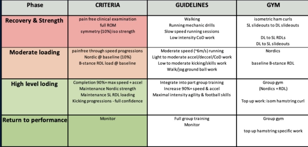 RachelTierney0's tweet photo. reconditioning principles in Hamstring injuries with @CPSEMIRL. Thanks to  Brenton Egglestone for sharing Case studies from the AFL &amp; some rehab ideas https://t.co/N4FgT7Xm7q