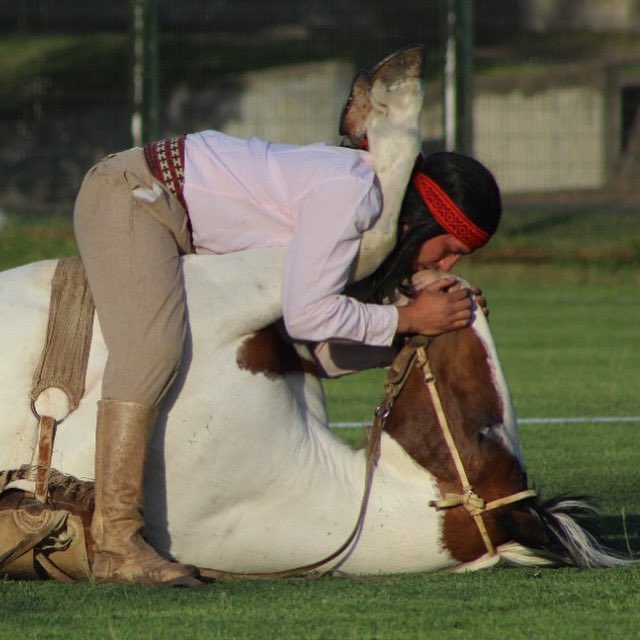 Amor, PAZ, respeto.
Palabras claves para una sana convivencia y logro del entendimiento. 
#palmasdepeñaflor