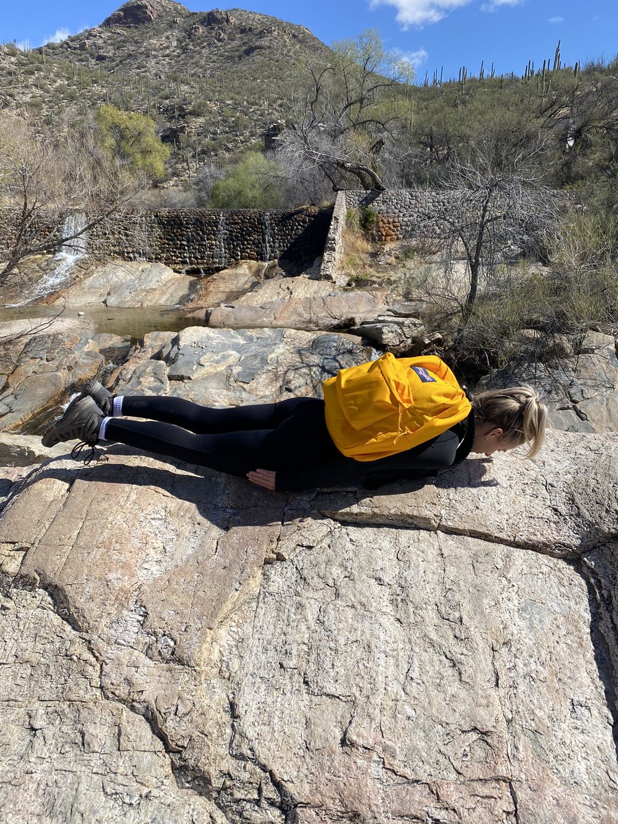 Emily Zugay tweet media