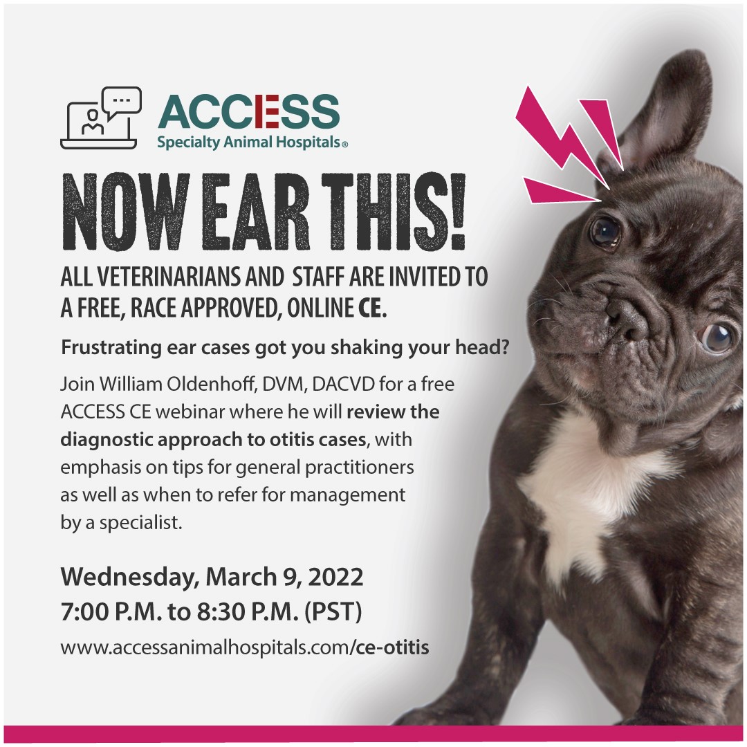 Dear veterinary colleagues, please join us for a Free, 1.5-credit, RACE-approved, virtual CE on otitis. We are looking forward to connecting with you on March 9 at 7 pm. Please RSVP now at accessanimalhospitals.com/ce-otitis/