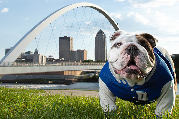 Sidelines_SN's tweet photo. Semifinal Round!!

Who's got the best Bulldog Mascot??

- Drake (Griff II)
- Miss State (Bully) https://t.co/3wFfTqdJqj
