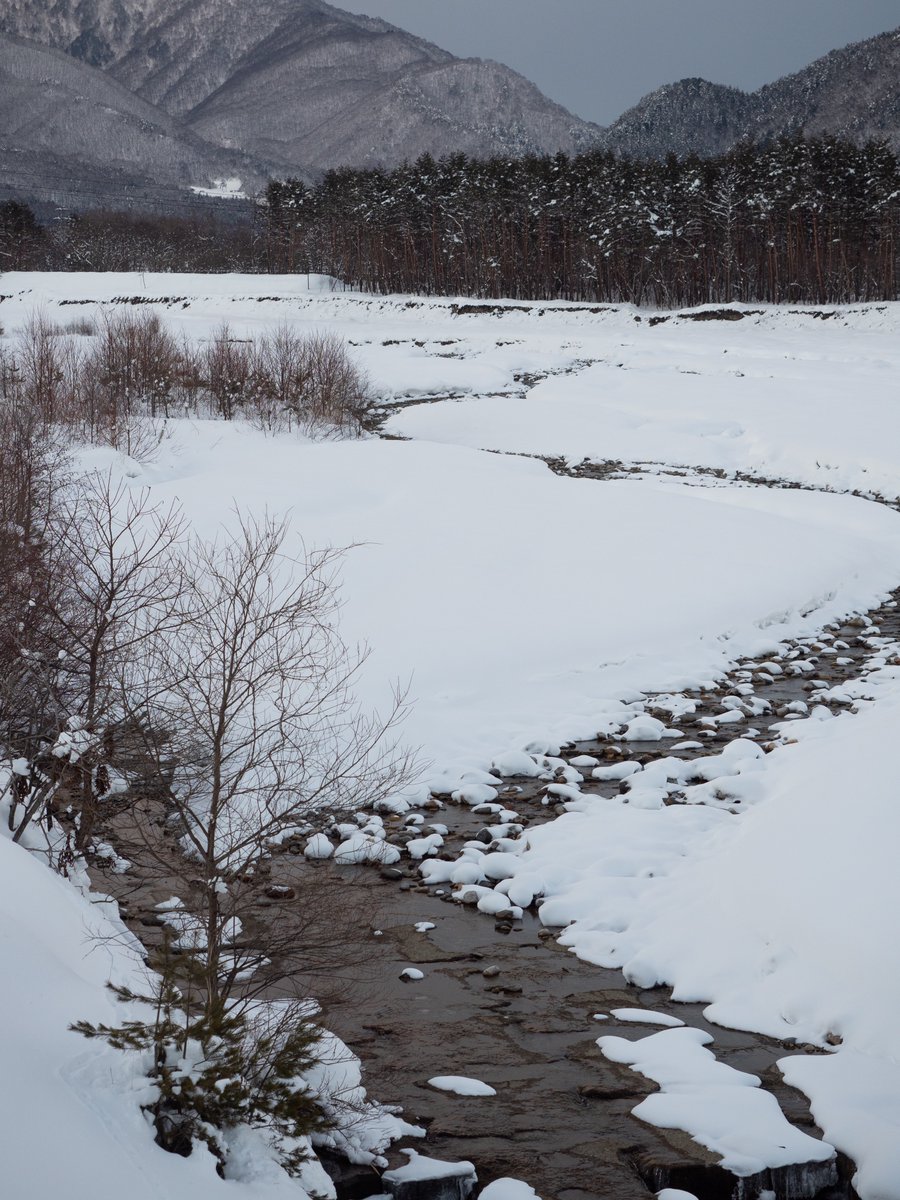 mindandsights's tweet image. nagano