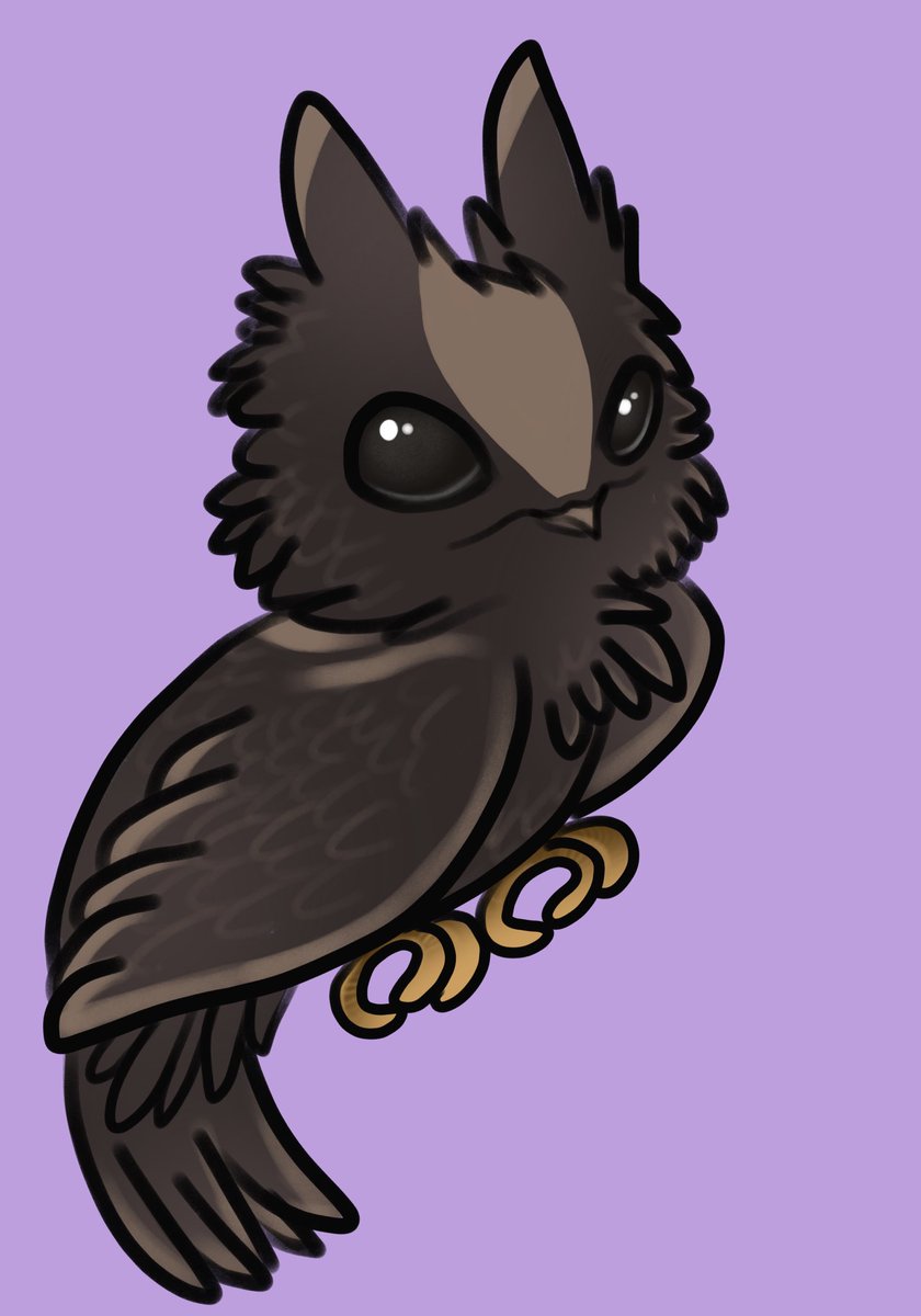 Been so busy but here’s a cute little nightjar! 💕😌