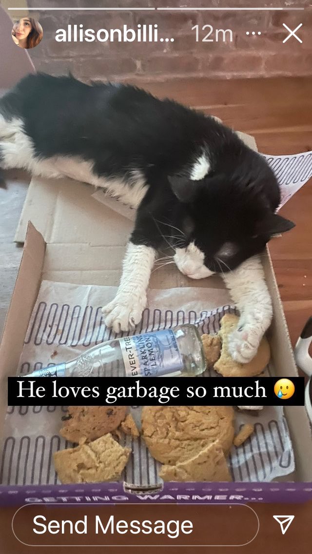 Before he passed away he loved garbage he was from a hoarder sitz I guess he was used to that #myboy #ripprince