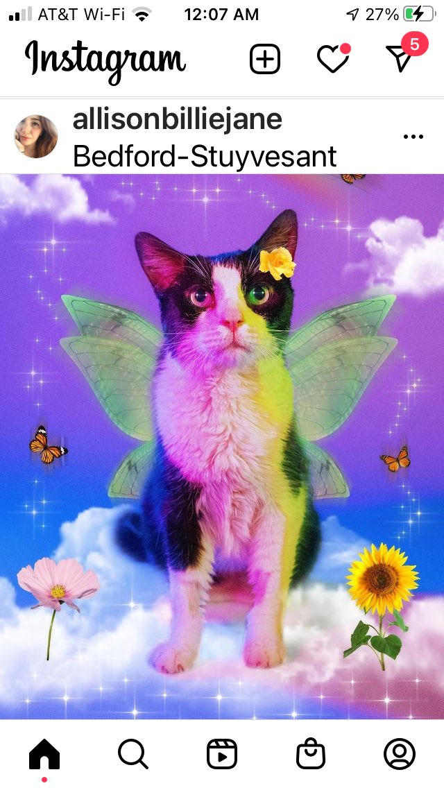 Hi my loves have so much going on allies oldest cat went to rainbow bridge last night 🙏💔the chemo stopped working and he died At the vet in her arms 😢she’s ok accepted it the other cat is sick now 🙏rip Martin be free my boy we miss you already and ur purrs xo