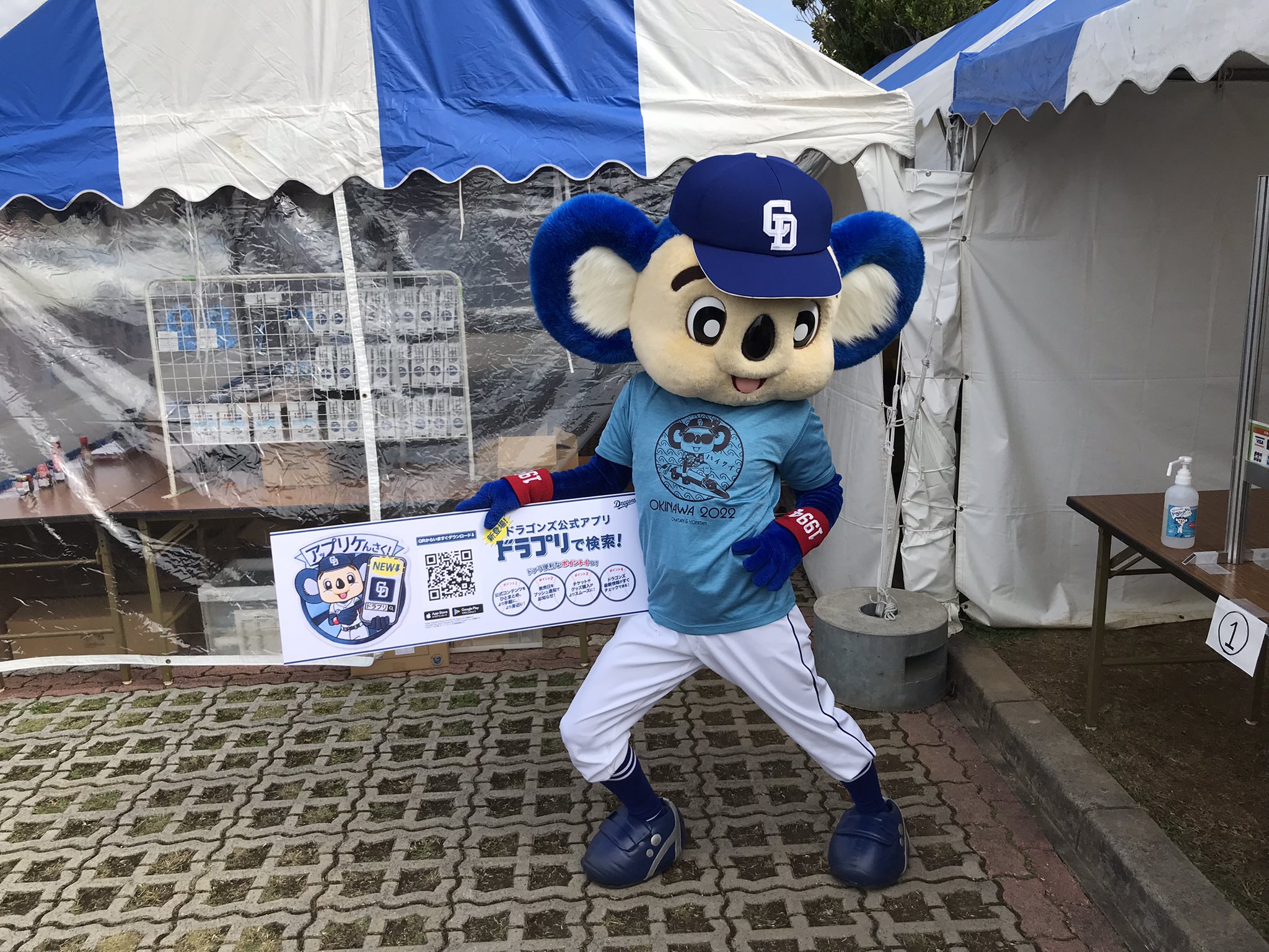 中日ドラゴンズ公式 渦中の人 ドアラ さんが球場に 出没注意 Dragons T Co 9jpbfz4tzr Twitter