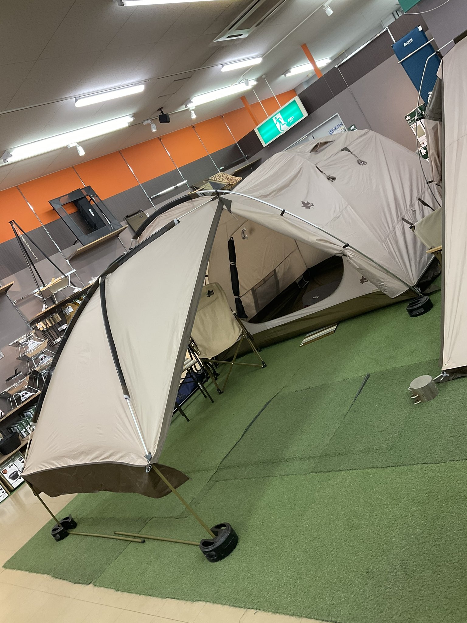 ロゴスショップ福岡店 公式 on X: