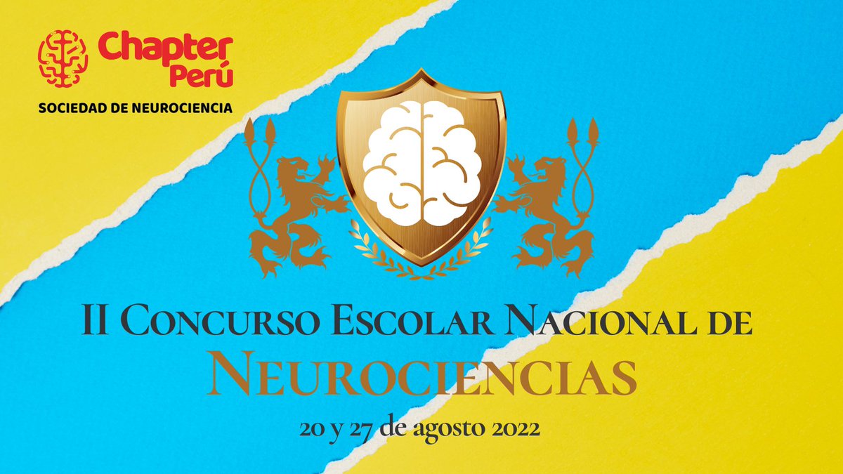ChapterPeru's tweet photo. 𝐂𝐎𝐍𝐂𝐔𝐑𝐒𝐎 𝐄𝐒𝐂𝐎𝐋𝐀𝐑 | El Segundo Concurso Escolar Nacional de Neurociencias 🧠 organizado por Chapter Perú Sociedad de Neurociencia se realizará el 20 y 27 de agosto del 2022. https://t.co/QR3p0hwoIu