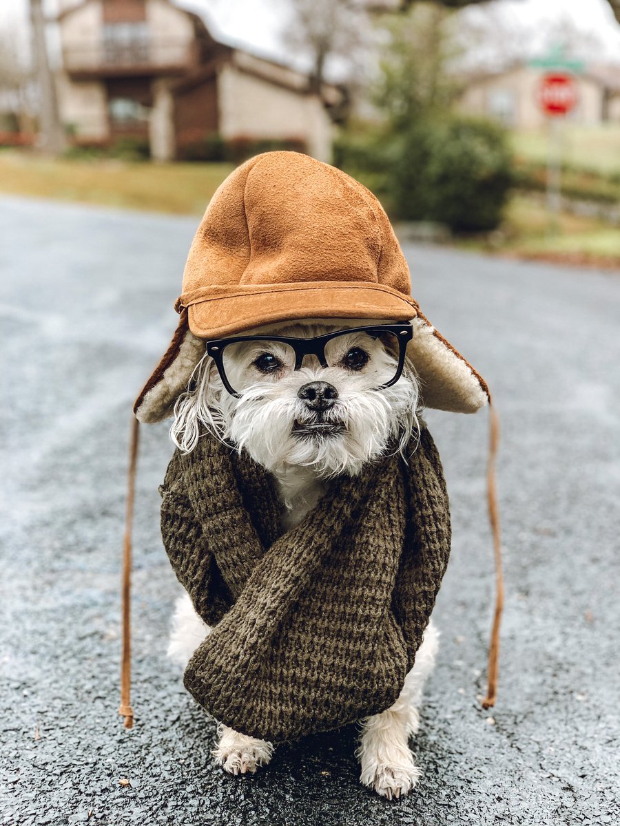 My favorite outdoor activity today is going back inside. 🥶 #Austin #atxwx