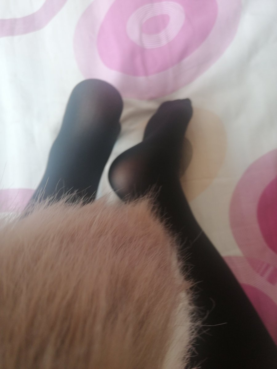 黑已暮him哒 tweet media