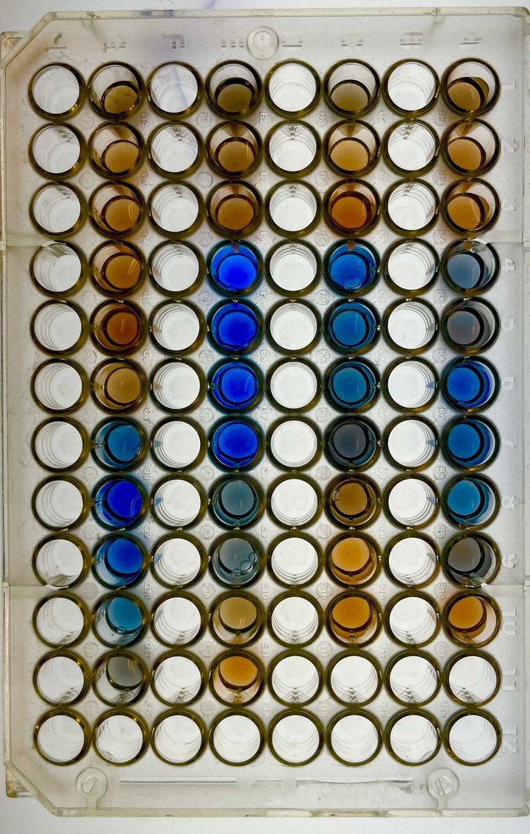 One last protein purification before defending my #PhD #sciart
