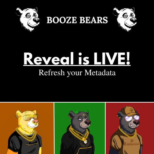 Booze Bears ® tweet media