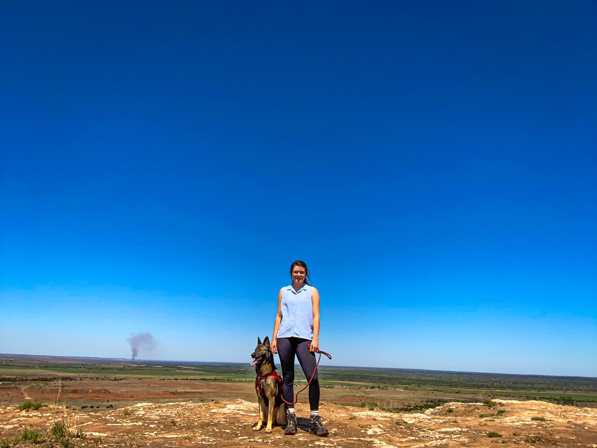 Just figuring out you can post multiple photos. Enjoy some iPhone quality pics 🤍 #hikeoklahoma #twitterdogcommunity #dogsoftwitter #germanshepherd #Dog