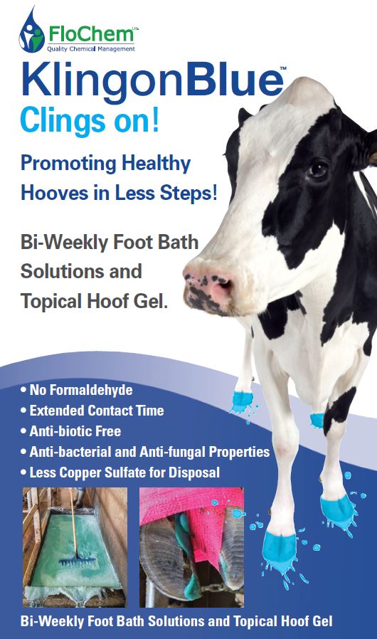 Looking for a proActive foot bath? 

Dairy are relying on KlingonBlue to improve hoof health without anti-biotics or formaldehyde. Keeping Cows comfortable &amp; out of the red/dark red zone! 

Easy-to-mix, dust-free, Concentrate thickens as it sits!