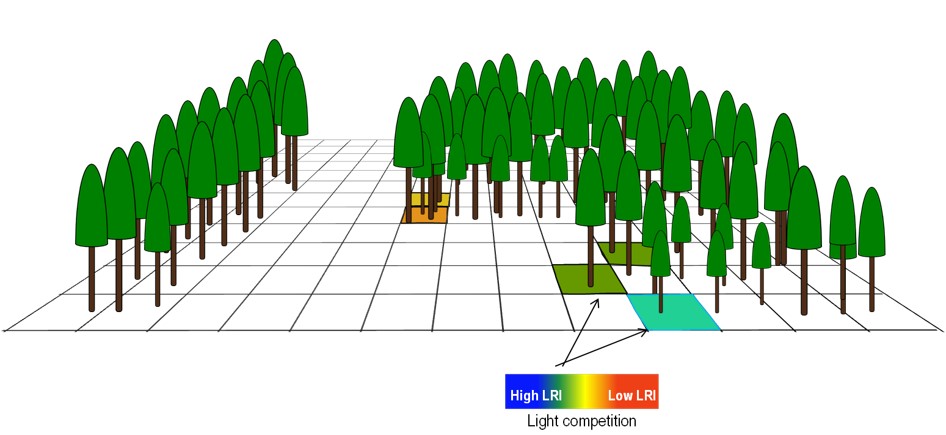 Have you been using forest stand or landscape models to study the effects of climate change in Europe? And are you interested in contributing your simulations to a large synthesis effort? If yes we’d love to hear from you! For more info see edfm.wzw.tum.de/simulation_dat… 1/3