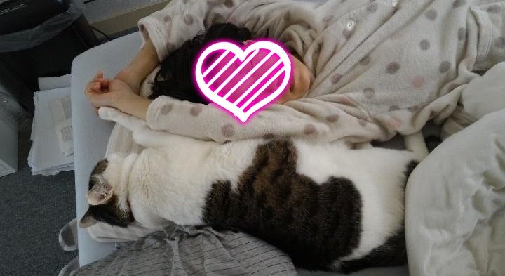 ICHIKAWA_MAN_A's tweet photo. @U760G #鈴木マサ は元妻と
飼い猫 #とむじろう の寝姿を
こっそり撮影して
Twitterで見せているようだが
市川市議にとって
欠くべからざる遵法精神を
怠った盗撮行為を
#鈴木マサ はやらかしたと
言うべきなんだろうぜ！ https://t.co/FQGbecMtaL