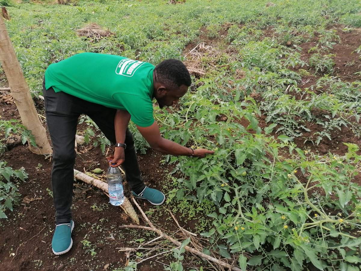 AgricInc's tweet photo. @Theodorekindong being at the front! Agric-Hub Technologies Inc believe in sustainable agriculture https://t.co/a5pKIjv6eV