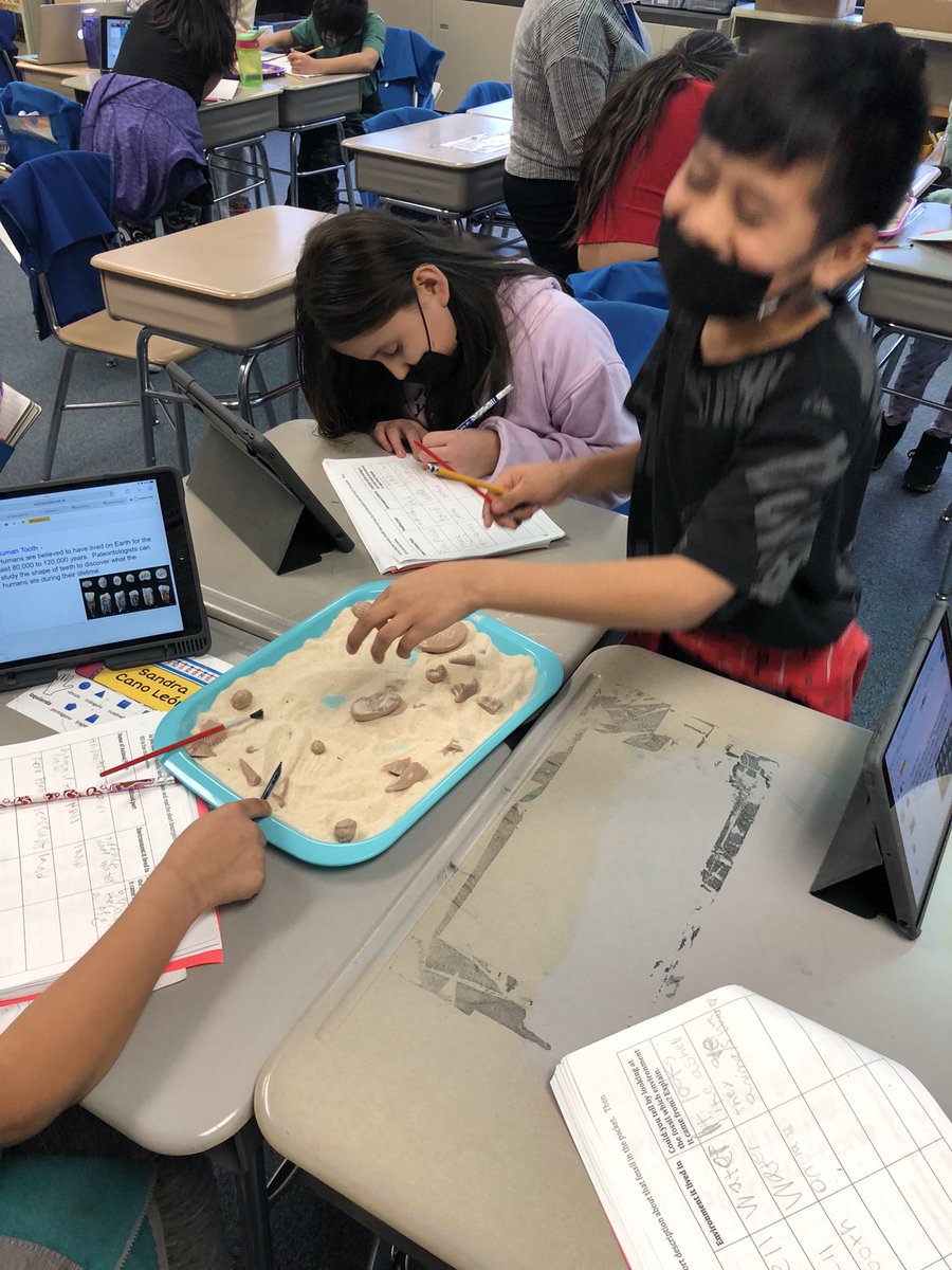 Lisa Nathaus tweet media