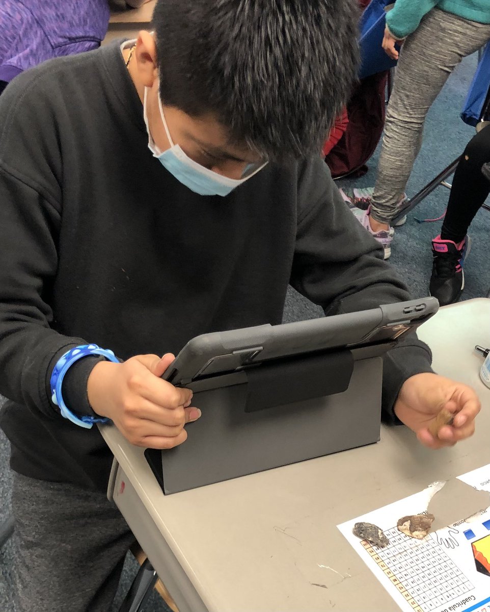 Lisa Nathaus tweet media