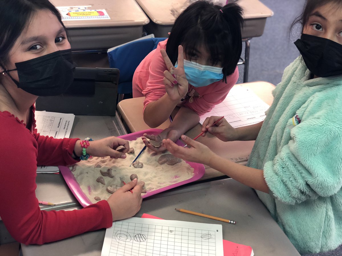 Lisa Nathaus tweet media