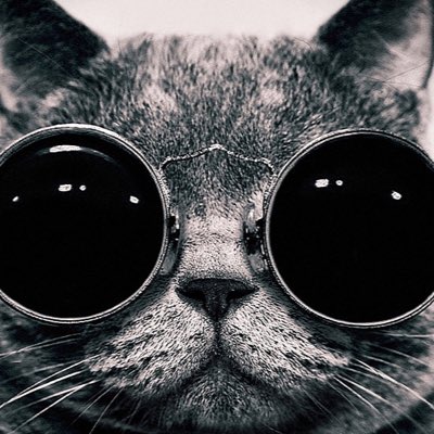 yellow_scoop's tweet photo. #NewProfilePic https://t.co/V6e87ANnjW