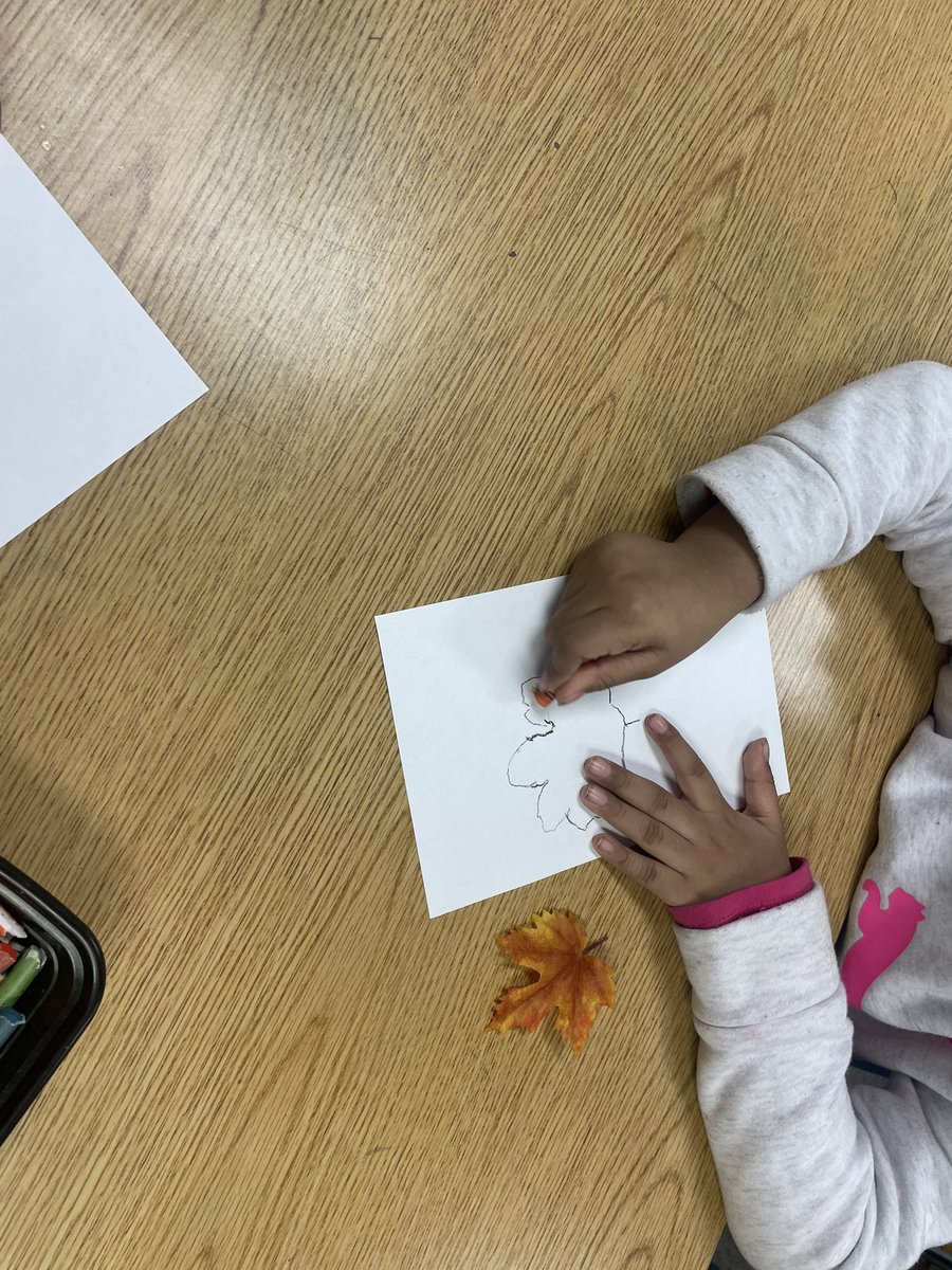 visualarts_nbe's tweet photo. Pre-K got to be an artist and scientist just like Leonardo Da Vinci.  They studied their leaf and then drew it.  @HumbleISD_NBE @VisualArtHumble https://t.co/MNMbyvswwt