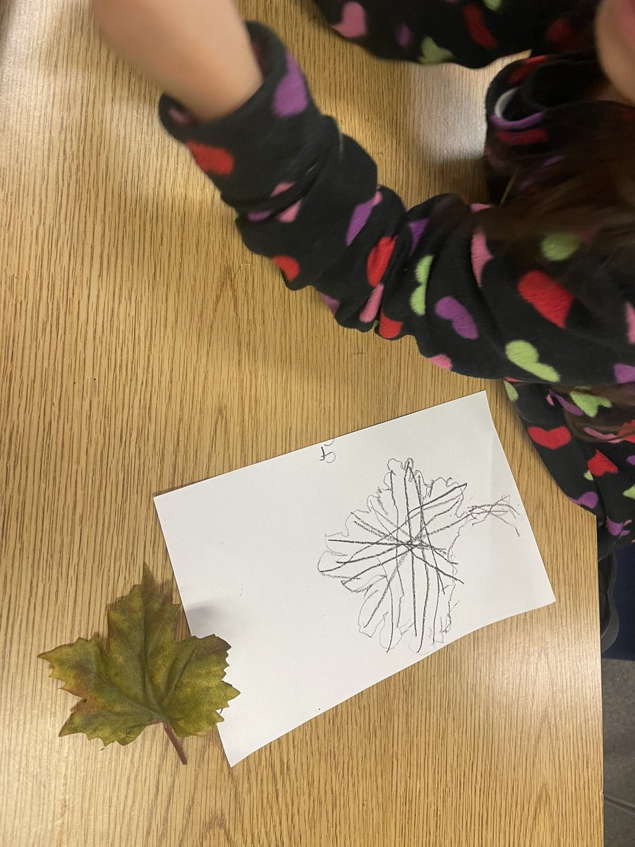 Pre-K got to be an artist and scientist just like Leonardo Da Vinci.  They studied their leaf and then drew it.  <a href="/HumbleISD_NBE/">North Bend Elementary</a> <a href="/VisualArtHumble/">Humble ISD Visual Arts</a>
