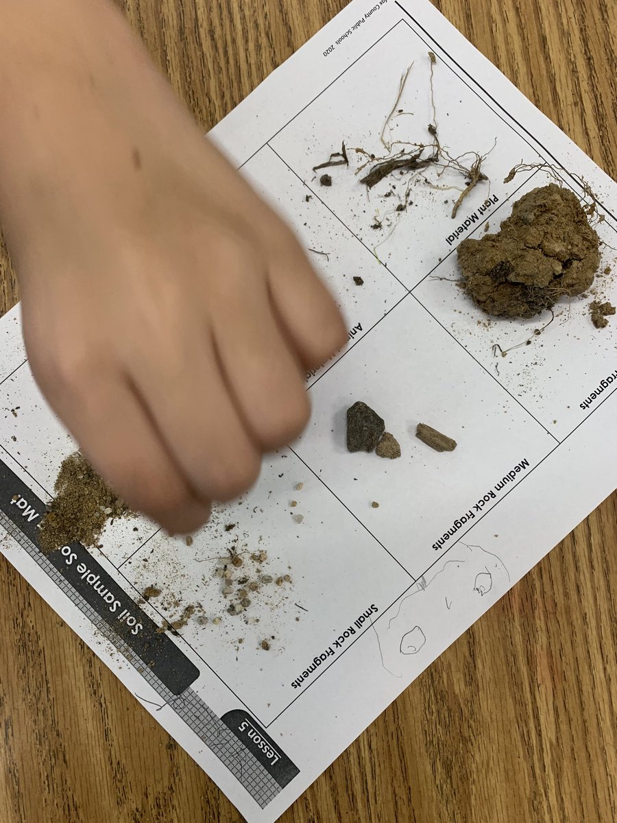 Lexi Hartmann tweet media