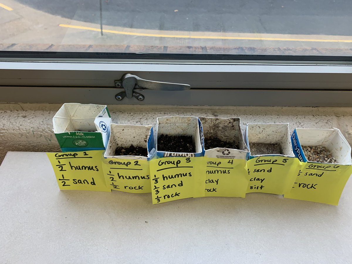 Lexi Hartmann tweet media