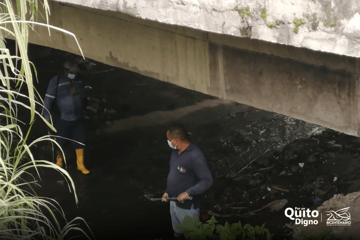 zonaltumbaco's tweet photo. En la quebrada Shullun, en Tumbaco hay un espacio  donde se han acumulado desechos de distinta índole. 🧹
Hoy nuestras cuadrillas intervinieron el área retirando basura y cortando maleza, aportando así al mejoramiento del lugar. ✅
Trabajamos #PorUnQuitoDigno https://t.co/vdjniv6wDF