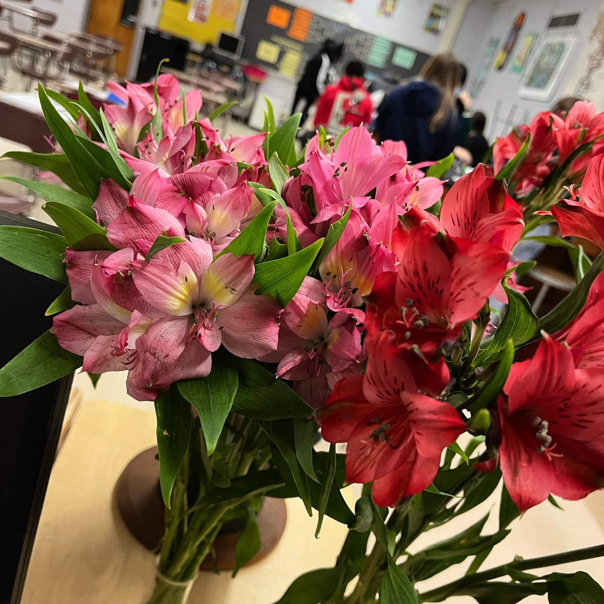 torchianator's tweet photo. Good job with flower dissections this week, Honors Bio! Pollen, petals, stigma, styleβ¦trying to figure out how Gregor Mendel bred pea plants when he discovered the basic principles of inheritance. #GoKnights #GoScience #HonorsBio @FazioSally https://t.co/feB2rsgMjx